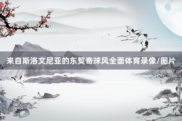 来自斯洛文尼亚的东契奇球风全面体育录像/图片