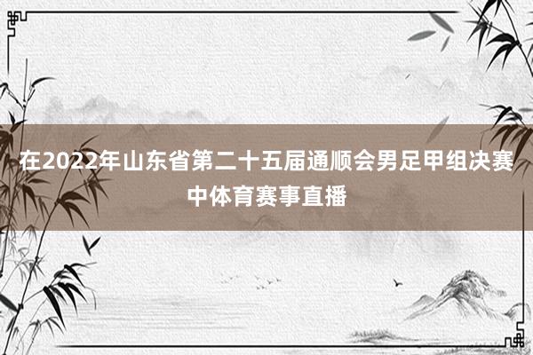 在2022年山东省第二十五届通顺会男足甲组决赛中体育赛事直播