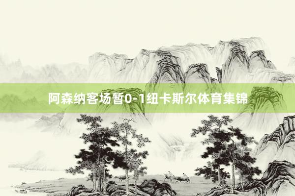 阿森纳客场暂0-1纽卡斯尔体育集锦
