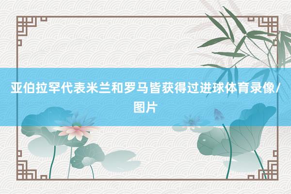 亚伯拉罕代表米兰和罗马皆获得过进球体育录像/图片