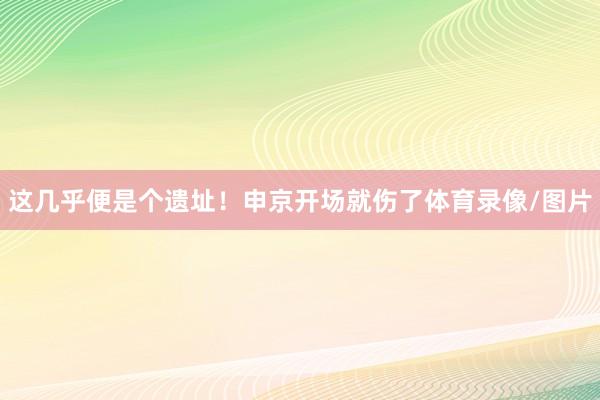 这几乎便是个遗址！申京开场就伤了体育录像/图片
