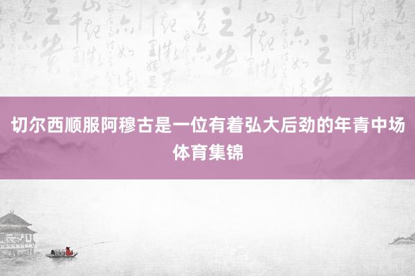切尔西顺服阿穆古是一位有着弘大后劲的年青中场体育集锦
