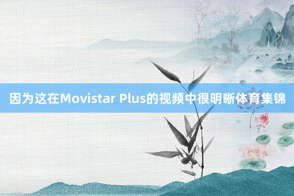因为这在Movistar Plus的视频中很明晰体育集锦
