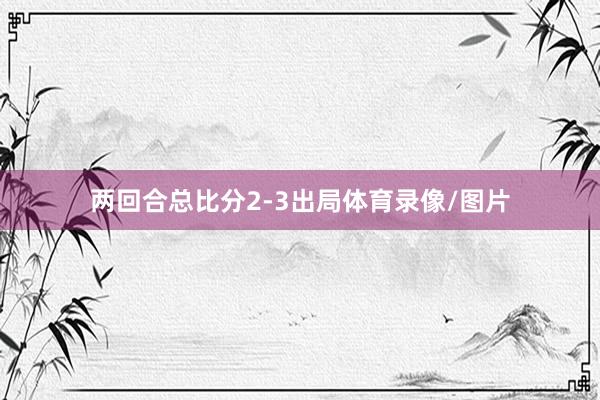 两回合总比分2-3出局体育录像/图片