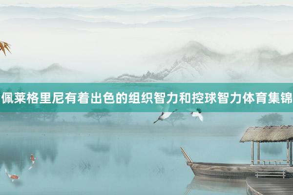 佩莱格里尼有着出色的组织智力和控球智力体育集锦