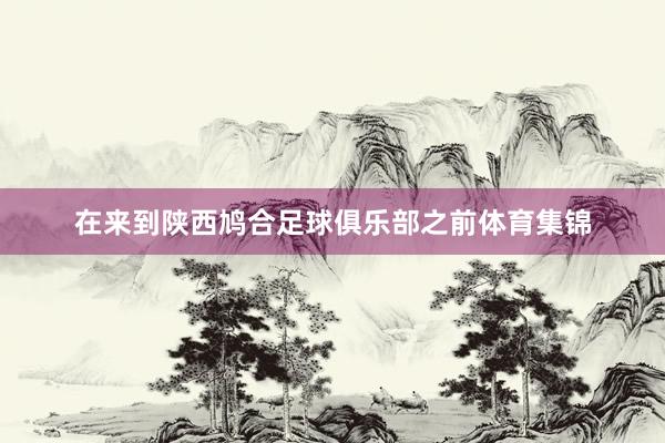 在来到陕西鸠合足球俱乐部之前体育集锦