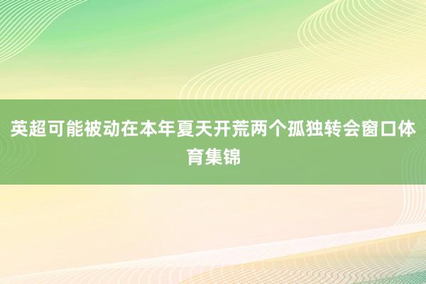 英超可能被动在本年夏天开荒两个孤独转会窗口体育集锦