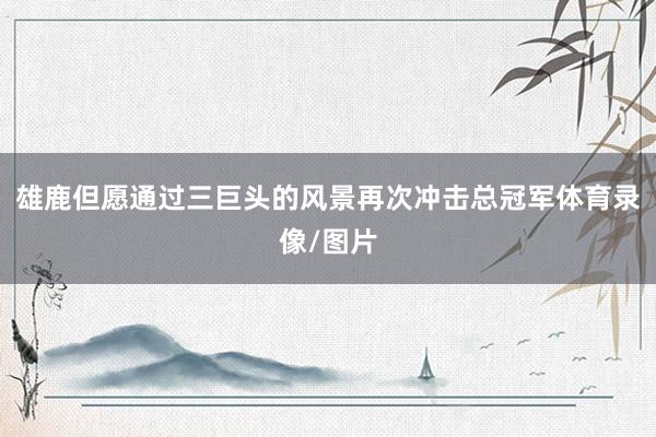 雄鹿但愿通过三巨头的风景再次冲击总冠军体育录像/图片