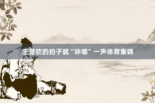 王楚钦的拍子就“咔嚓”一声体育集锦