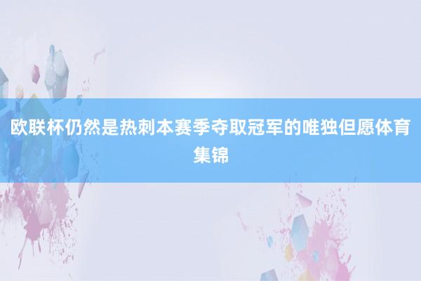 欧联杯仍然是热刺本赛季夺取冠军的唯独但愿体育集锦