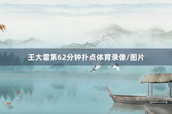 王大雷第62分钟扑点体育录像/图片
