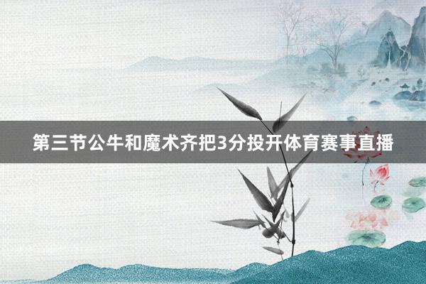 第三节公牛和魔术齐把3分投开体育赛事直播