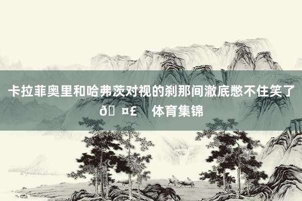 卡拉菲奥里和哈弗茨对视的刹那间澈底憋不住笑了🤣    体育集锦