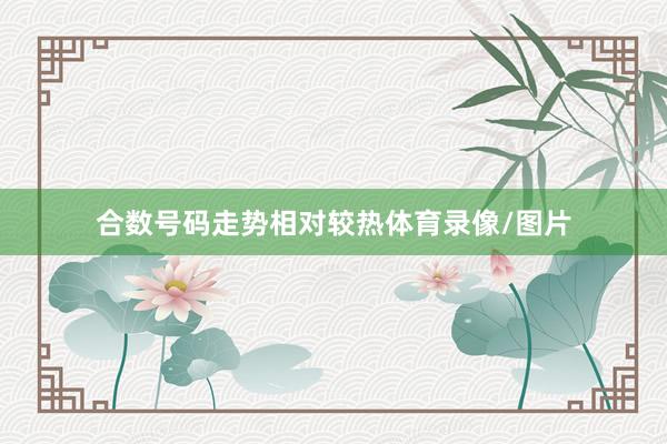 合数号码走势相对较热体育录像/图片