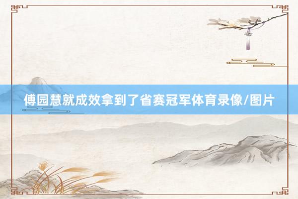 傅园慧就成效拿到了省赛冠军体育录像/图片