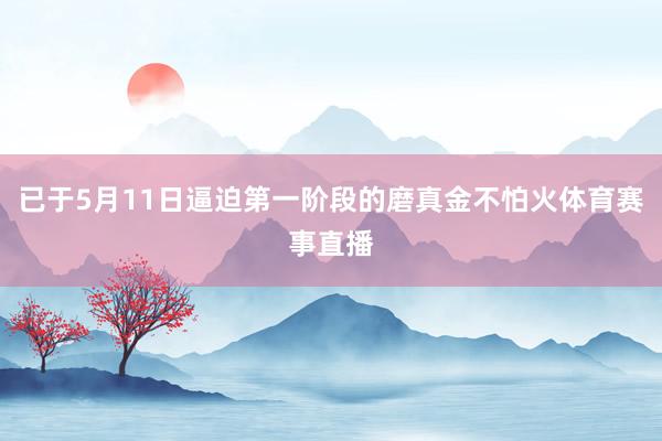 已于5月11日逼迫第一阶段的磨真金不怕火体育赛事直播