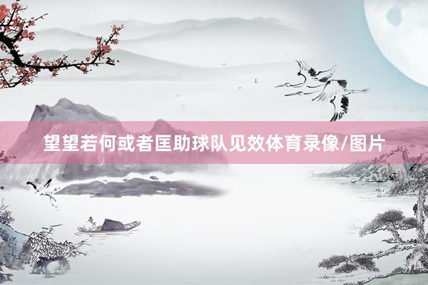 望望若何或者匡助球队见效体育录像/图片