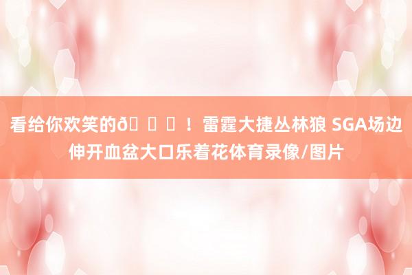 看给你欢笑的😂！雷霆大捷丛林狼 SGA场边伸开血盆大口乐着花体育录像/图片