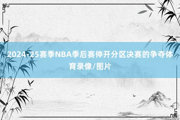 2024-25赛季NBA季后赛伸开分区决赛的争夺体育录像/图片
