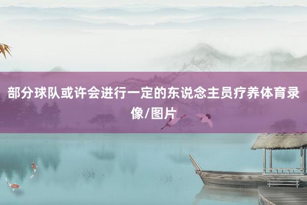 部分球队或许会进行一定的东说念主员疗养体育录像/图片