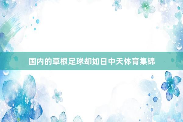 国内的草根足球却如日中天体育集锦