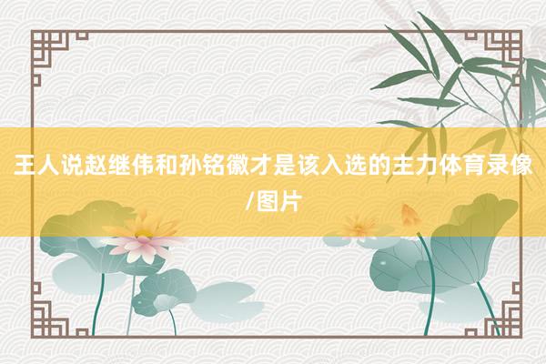 王人说赵继伟和孙铭徽才是该入选的主力体育录像/图片
