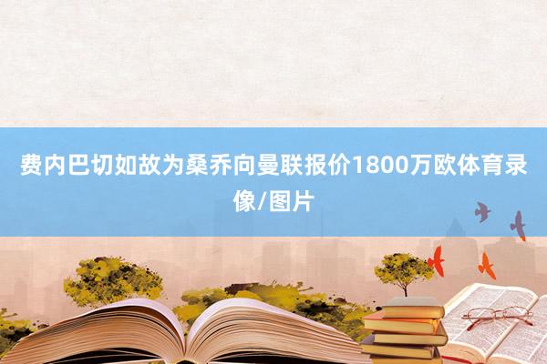 费内巴切如故为桑乔向曼联报价1800万欧体育录像/图片