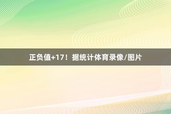 正负值+17！据统计体育录像/图片