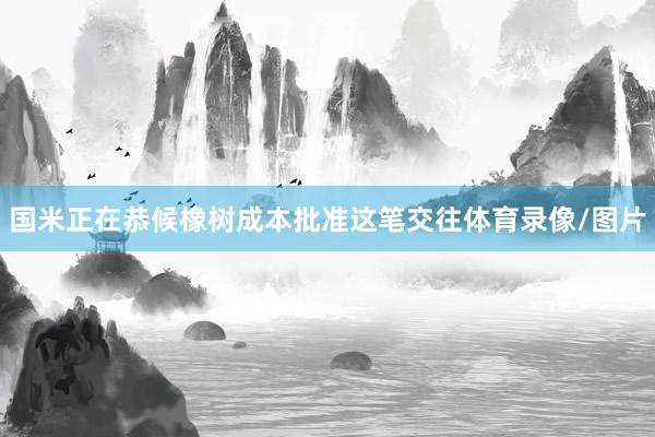 国米正在恭候橡树成本批准这笔交往体育录像/图片