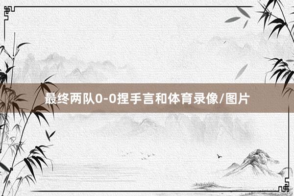 最终两队0-0捏手言和体育录像/图片