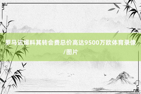 罗马诺爆料其转会费总价高达9500万欧体育录像/图片