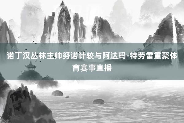 诺丁汉丛林主帅努诺计较与阿达玛-特劳雷重聚体育赛事直播