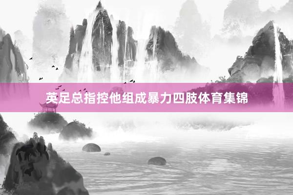 英足总指控他组成暴力四肢体育集锦