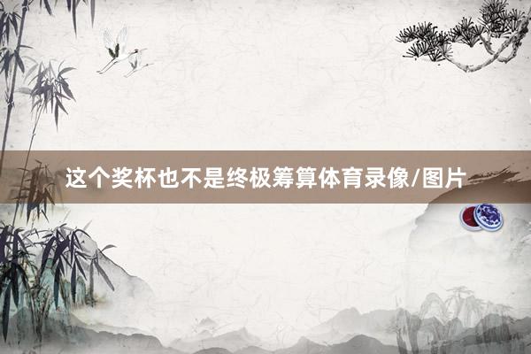 这个奖杯也不是终极筹算体育录像/图片