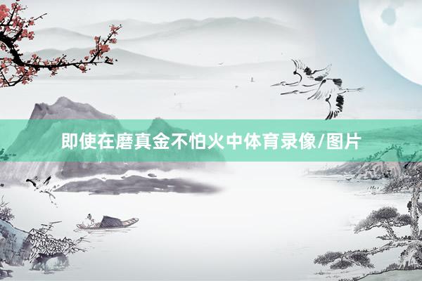 即使在磨真金不怕火中体育录像/图片