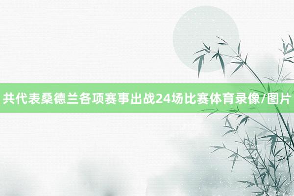 共代表桑德兰各项赛事出战24场比赛体育录像/图片