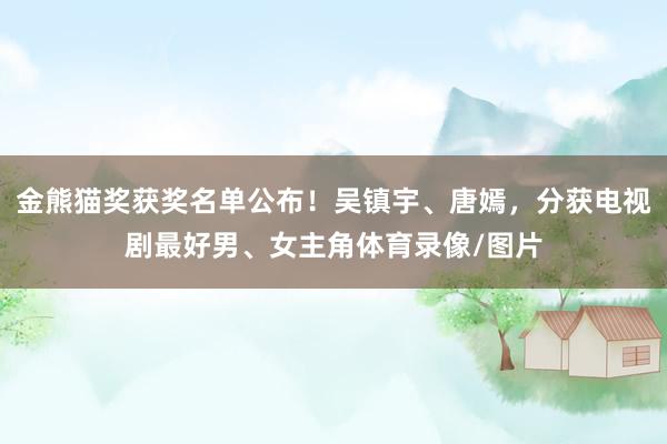 金熊猫奖获奖名单公布！吴镇宇、唐嫣，分获电视剧最好男、女主角体育录像/图片