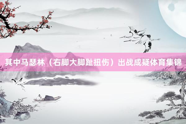 其中马瑟林（右脚大脚趾扭伤）出战成疑体育集锦