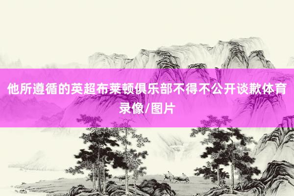 他所遵循的英超布莱顿俱乐部不得不公开谈歉体育录像/图片