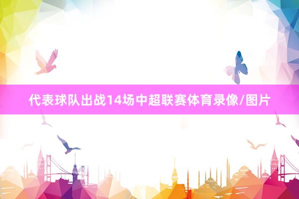 代表球队出战14场中超联赛体育录像/图片