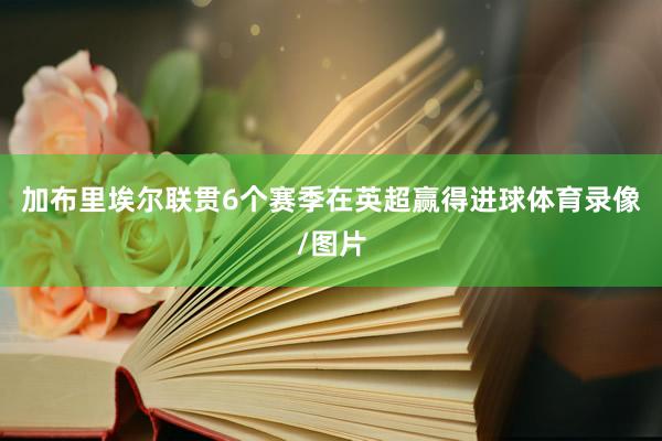 加布里埃尔联贯6个赛季在英超赢得进球体育录像/图片