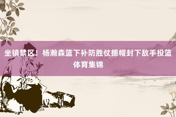 坐镇禁区！杨瀚森篮下补防胜仗摁帽封下敌手投篮体育集锦