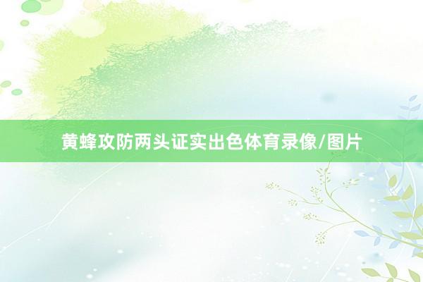 黄蜂攻防两头证实出色体育录像/图片