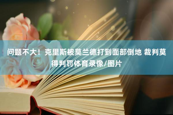 问题不大！克里斯被莫兰德打到面部倒地 裁判莫得判罚体育录像/图片