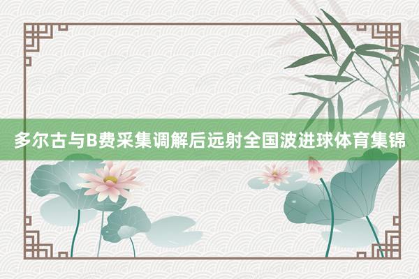 多尔古与B费采集调解后远射全国波进球体育集锦