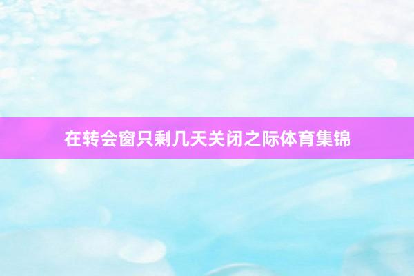 在转会窗只剩几天关闭之际体育集锦