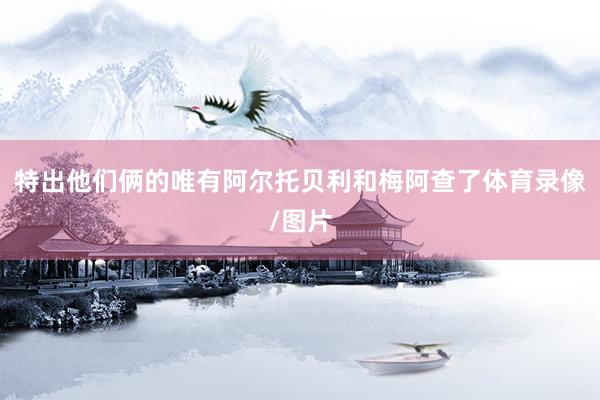 特出他们俩的唯有阿尔托贝利和梅阿查了体育录像/图片