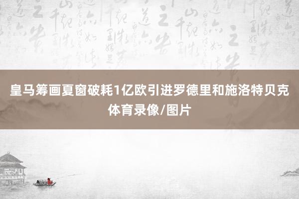 皇马筹画夏窗破耗1亿欧引进罗德里和施洛特贝克体育录像/图片