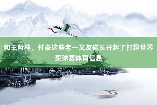 和王哲林、付豪这些老一又友碰头开起了打趣世界买球赛体育信息
