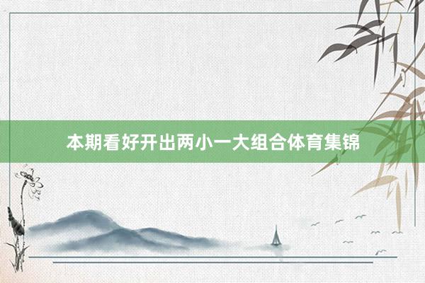 本期看好开出两小一大组合体育集锦